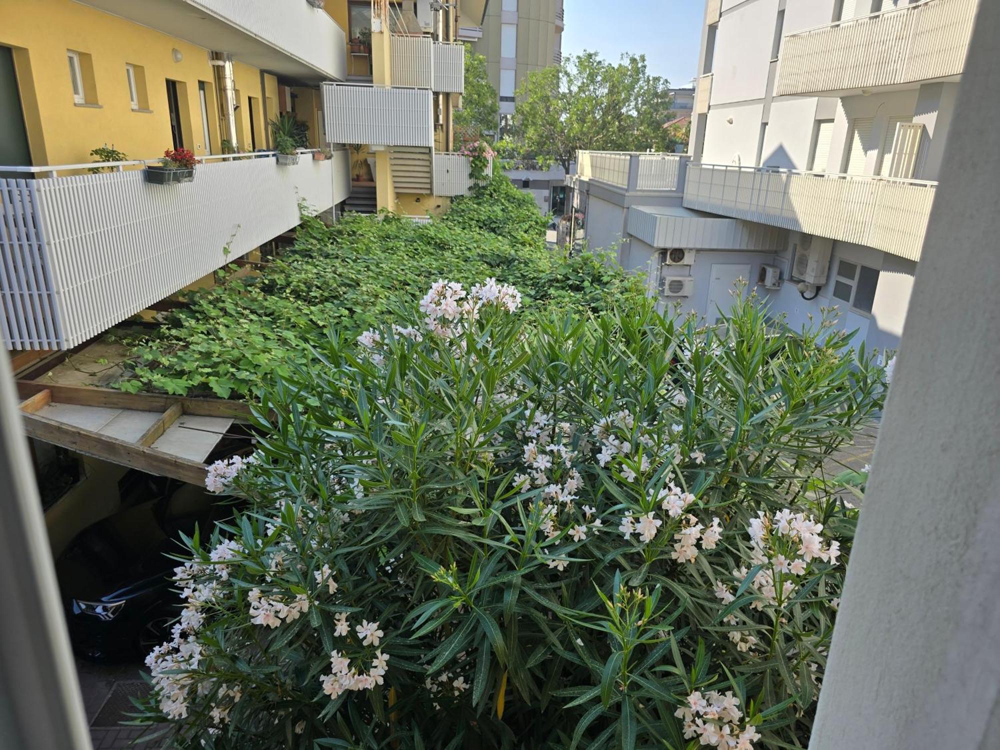 Villa Nerina Apartment Lignano Sabbiadoro Eksteriør bilde